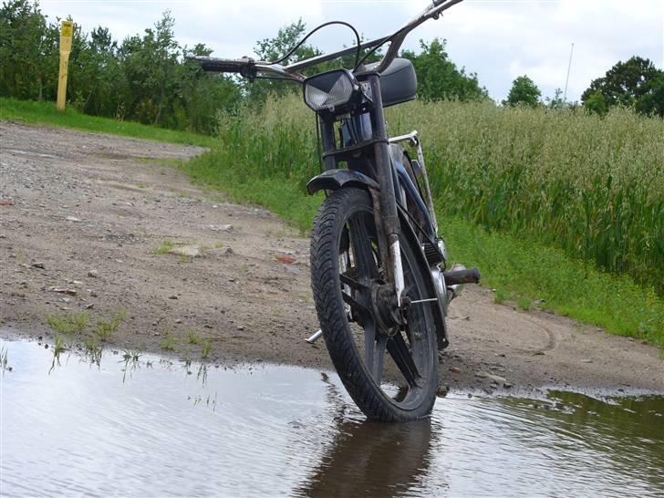 Puch maxi K  SOLGT billede 8