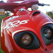 Peugeot TKR 206 WRC     (Projekt)