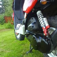 Peugeot TKR 206 WRC     (Projekt)