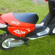 Peugeot TKR 206 WRC     (Projekt)