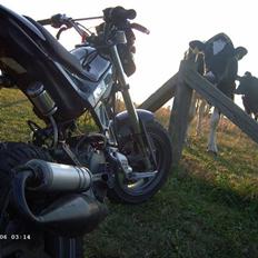 Suzuki Street Magic  (Solgt)