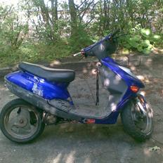 Adly silver fox *SOLG*