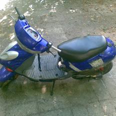 Adly silver fox *SOLG*