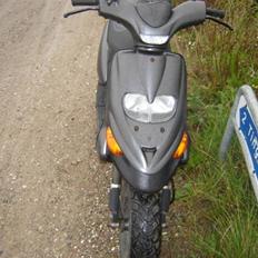 Gilera stalker
