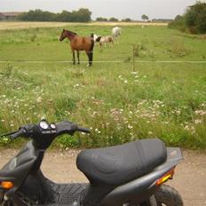 Gilera stalker