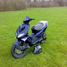 Peugeot Speedfight - Solgt