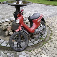 Honda Wallaroo (BYTTET 4- GEAR)