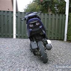 Honda SFX ( den er mojnet)