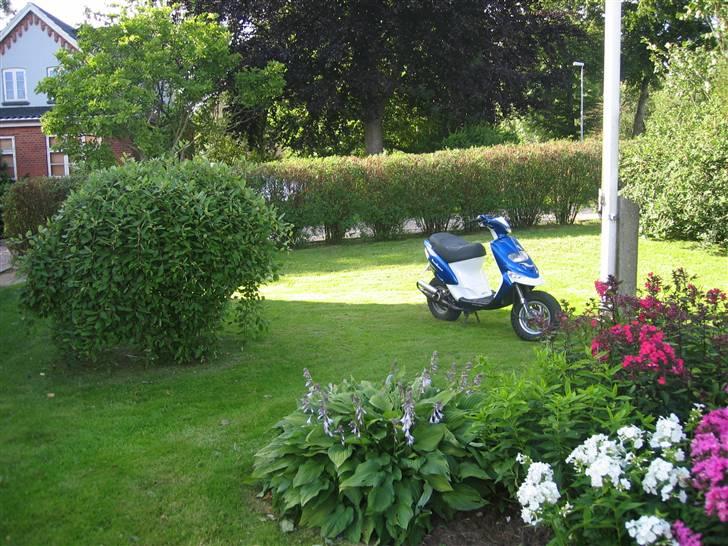 Gilera Stalker Efter ||solgt|| billede 8