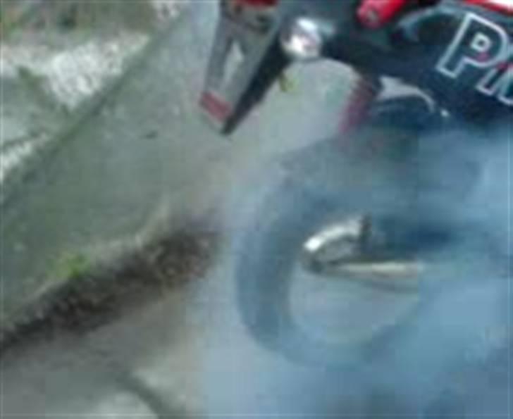 PGO PMX sport SOGLT FOR 7000 billede 15