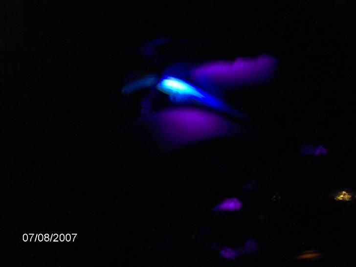 PGO hot 50 (solgt) billede 8