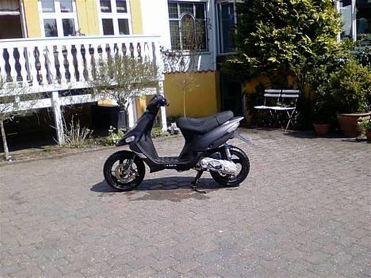 Gilera stalker byttet billede 5