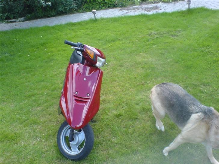 Yamaha solgt min egen savner jog billede 2