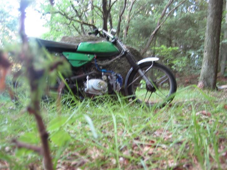 Puch monza/Pioneer140 til salg billede 3