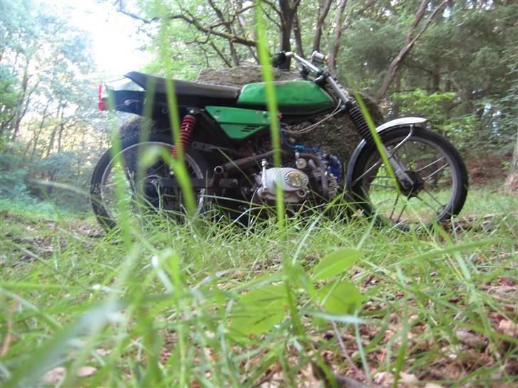 Puch monza/Pioneer140 til salg billede 4