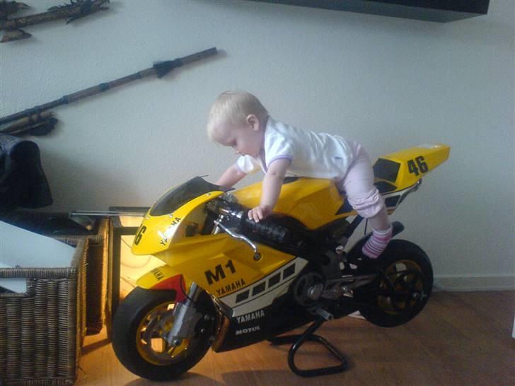 Polini M1 - Min lillesøster på min Pocket Bike billede 3