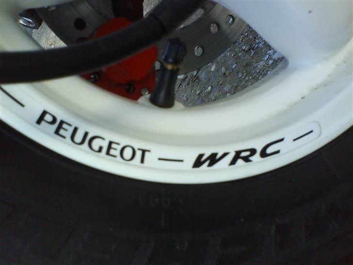 Peugeot TKR 206 WRC     (Projekt) billede 10