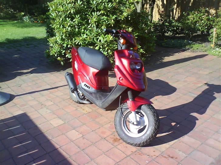 PGO Hot50 billede 10