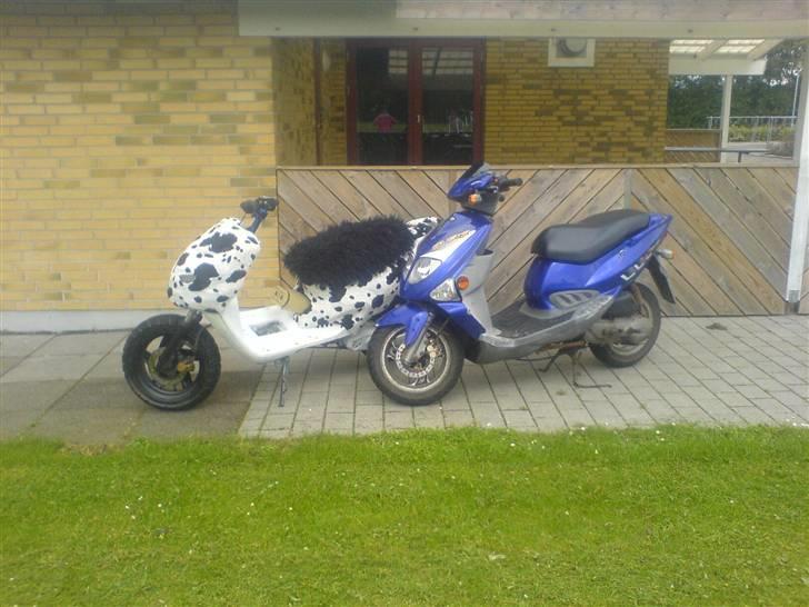 PGO Dr. Big *R.I.P* billede 9