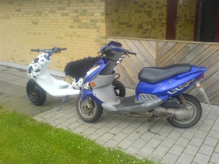 PGO Dr. Big *R.I.P* billede 10