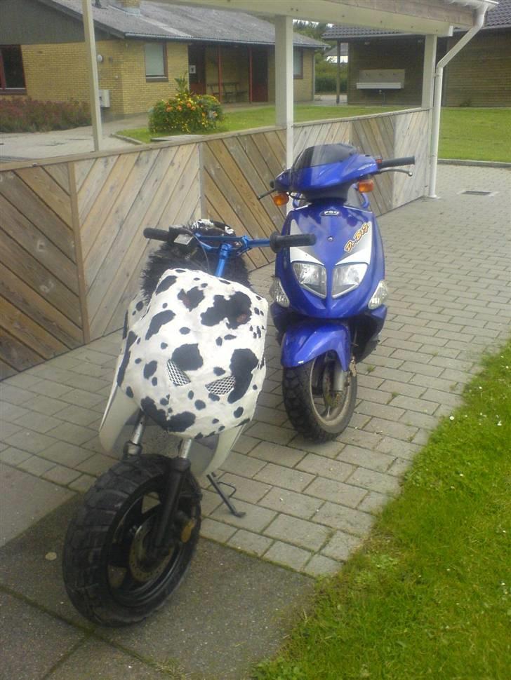 PGO Dr. Big *R.I.P* billede 11