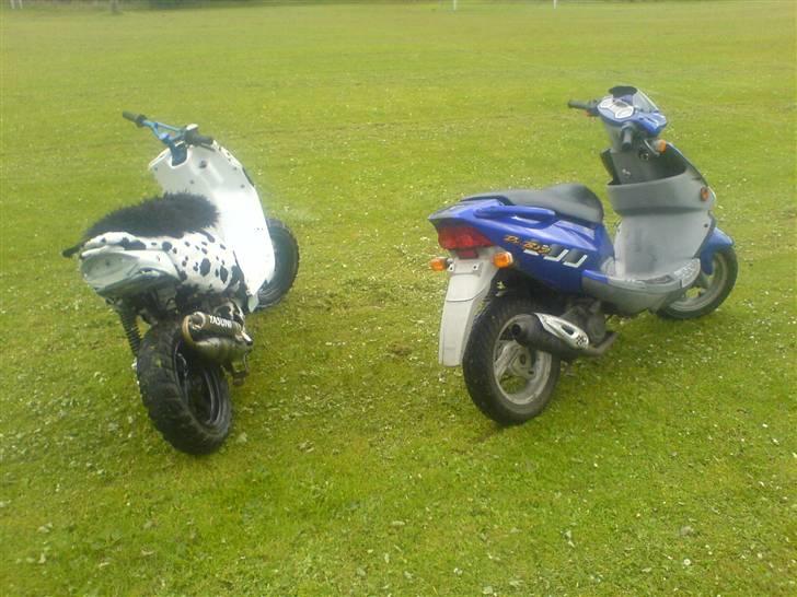 PGO Dr. Big *R.I.P* billede 14