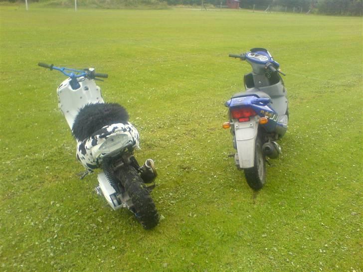 PGO Dr. Big *R.I.P* billede 15