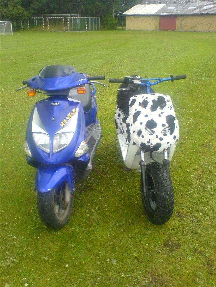 PGO Dr. Big *R.I.P* billede 18