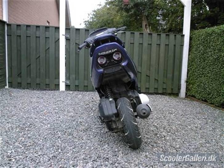 Honda SFX ( den er mojnet) billede 2