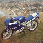 Yamaha Tzr50 Hebo Racer  