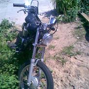 Regal raptor byttet med sfx