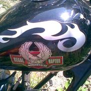 Regal raptor byttet med sfx