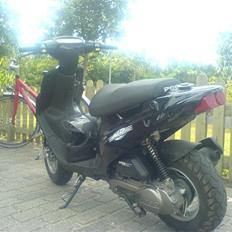 PGO Hot 50 