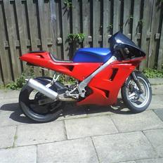 Derbi GPR50R (SOLGT)