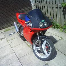 Derbi GPR50R (SOLGT)