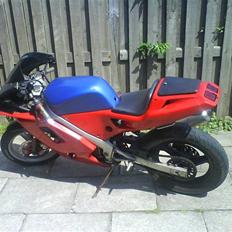 Derbi GPR50R (SOLGT)