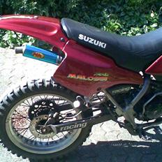 Suzuki Smx