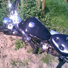 Regal raptor byttet med sfx