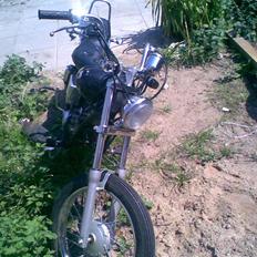 Regal raptor byttet med sfx