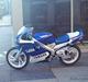 Yamaha Tzr50 Hebo Racer  