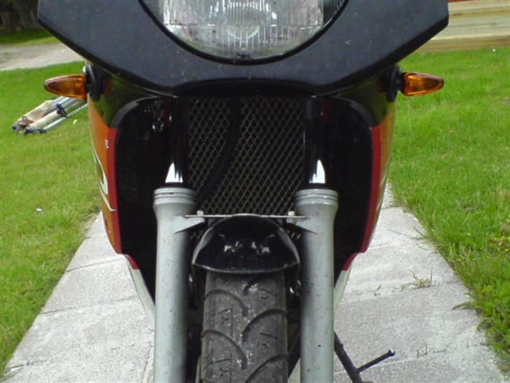 Yamaha Tzr50 Hebo Racer   - se de fine små blink :-) og gitter foran køler Spiller Max   billede 4
