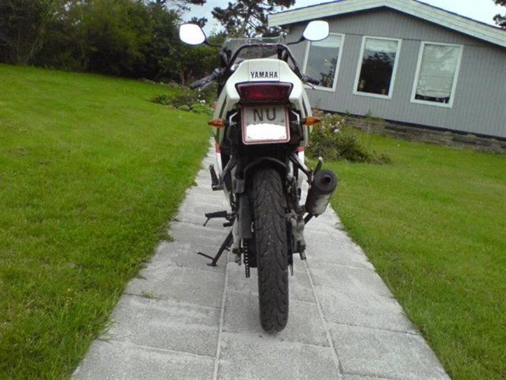 Yamaha Tzr50 Hebo Racer   - der er kommet små blink lys på  billede 10