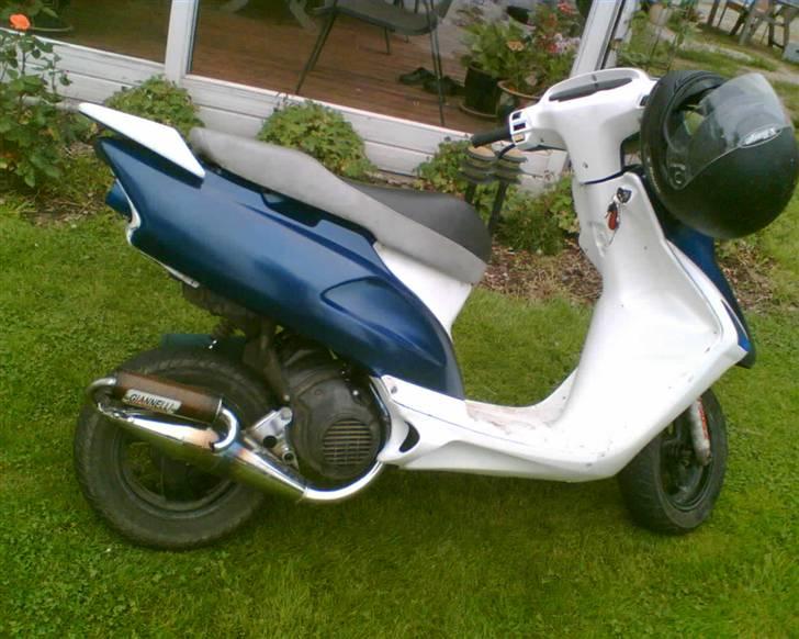 Honda sfx billede 14