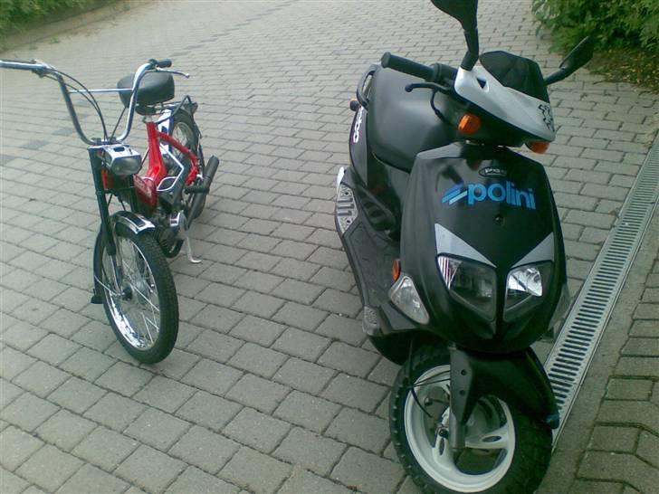 Puch Kickstarter .  - Maxien + T´rexen .  billede 4