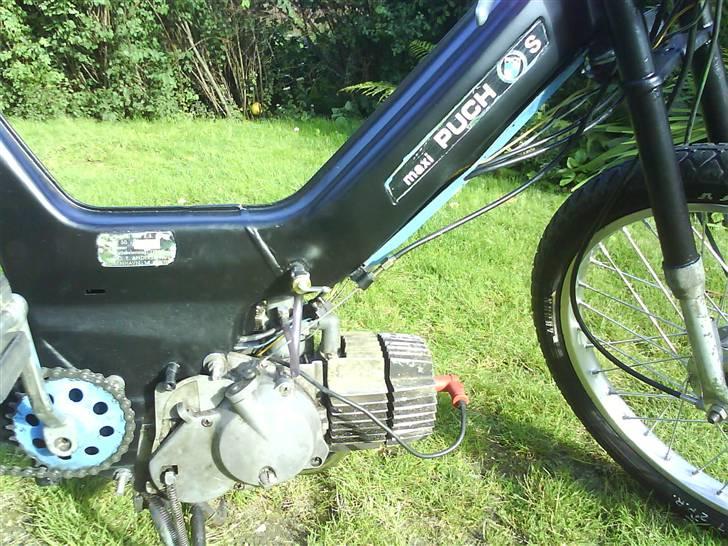 Puch Maxi P *SOLGT* billede 16