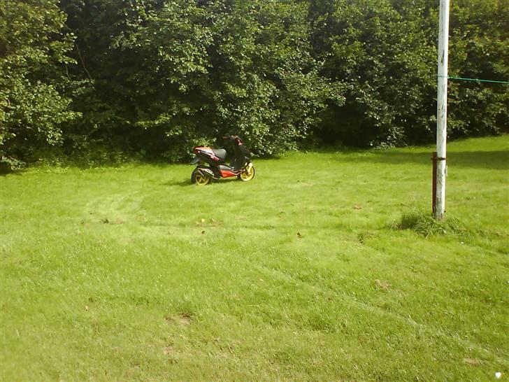 Aprilia MALOSSI Ditech (Solgt) billede 10