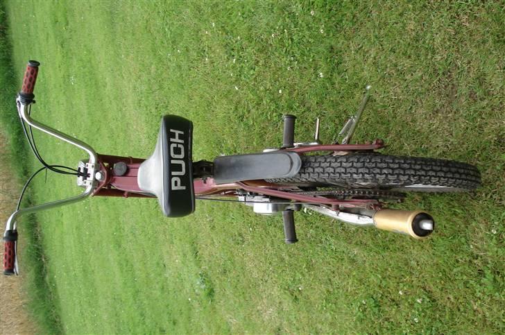 Puch Maxi k SOLGT billede 3