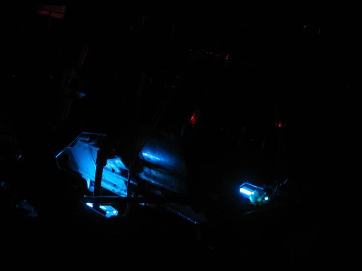 Regal Regal Raptor *SOLGT* billede 8