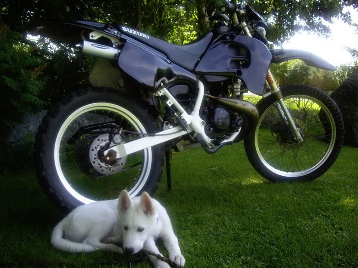 Suzuki RMX  - - RMX´en sammen med den bette vagtmis Ü - billede 9