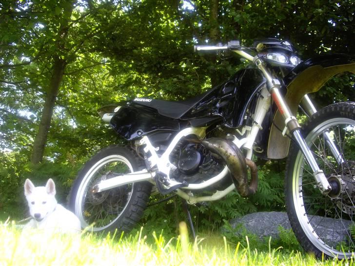 Suzuki RMX  - - RMX´en sammen med den bette vagtmis Ü - billede 10